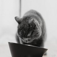 ��˧����ڡ���Ʒ���������룬ר�����������ëС�����ٴ򷭣�