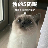 Ů��S������أ���������Ϯ����������