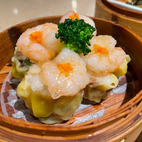 �㶼�²����Ŷ���