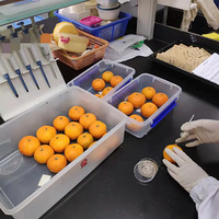 ���ӽ�ĺ��Ƕ��ˣ����ҽ���Ǹ�����ϰ������ⲻ�ɣ���һ������