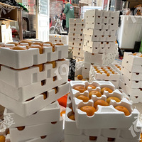 ӿȪ౨!㽭ٺ95Сһλ ѡҰѡ