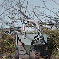 ȫ��DIORLADYART6��������������ϵ��չ���׷���