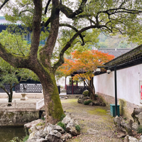 �������������淨��20��Ǯ���������̡���˳������������ﾰ