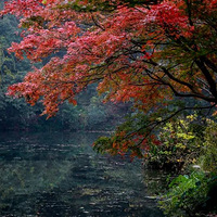 ȥ���ҹ������ʵ���1%���˿���Ȼ������1.45�룬���µͣ���