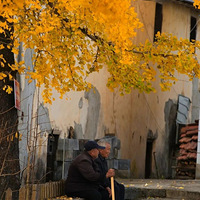 ����ĺ��ݣ��ǡ����ѳ�����ɫ�ģ�19¥�������߸��¡������ձ�