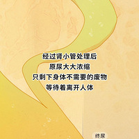 ͸֧�������ǲ��������ģ�