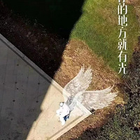 ����һ����Ƭ��һ�������ںܶຼ���˵�����Ȧˢ���ˣ��������ҵ�