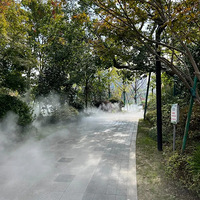 ��ϧ��������ġ����⡱������ȥ���ݸ�������԰��һ��