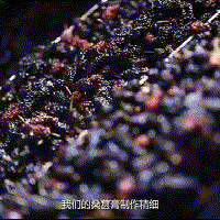 29.9Ԫ/ƿ���ֺ�ɣ驸ࣺ�ḻ�����������գ���ͳ�����ʹ���