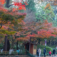 ��4�죬��۴�ѧ΢����ϵ�Ŷӳɹ�������ܿ��ֶ�����������