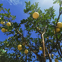 �����캼У�������Ĺ�ʵ���ſ�Ҳ������ô���֡�Ȥ