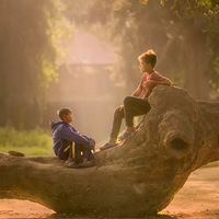 ��������ʱ��ﺢ��Ѱ�����������������չ���Ϊ�����ԭ��