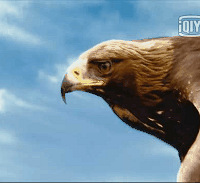 �Ҵ���Ů���͸�Ů�����ϣ������ˣ���Ϊ�õĽ���?