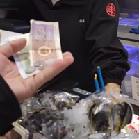 �����ܿ��ֶ�����ܴ��и�ð��������Ƭ�Ρ����������