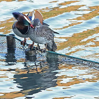 ���칬���á����Ŀ�������һ�οα�����գ��������