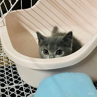 ��֤����ĳɳ�