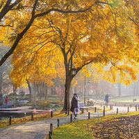 �����Ҫ���ˣ�����ͨ�����¿����������С�����С��������Լ��