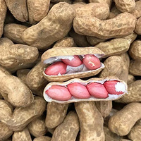 ��˿or���������װ��ʡ�ģ�ÿ�޵���16.5���ٰ�ɽ����ĩ��