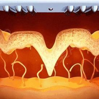 7d����������һ��״̬����զ����7d����������������ˣ�զ���£�