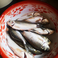 �Ҹ�������һ������