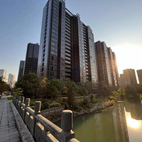 ����6���º���԰���ڳɽ������껨������