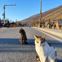 �����У�Ѱһ֪��