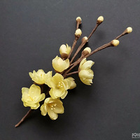 ���ݵ���÷�쿪�˰ɣ���ϲ�����ʫ����ǽ����֦÷���躮���Կ���