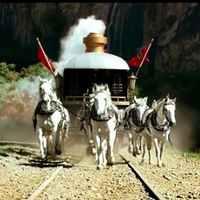 Ϊʲô�����ӵ��ɡ�����ֻ������ˣ�