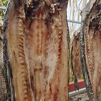 ���Cλ�ݵ���ǧ���������168Ԫ�����ƾ�һ���Ϲ�һ��������