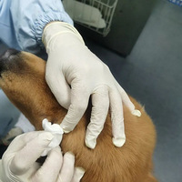 ����55�껷�������ְ���������࣬��������С����̾����