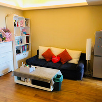 ��ƽ  �������� ��װ�޷��ݳ���