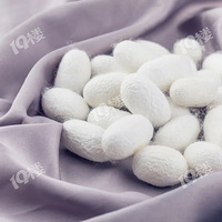 㽭ʡʮ˿ƷƶЩʲôƷƵĲ˿ã