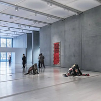 �ͼ۵���������һ���ͽ��໨5.5Ԫ���������