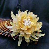 꼻�һ�ֿ���ǣ��ŷ�ͷ�Σ������鶯��ϲ���ŷ��С��㿴����