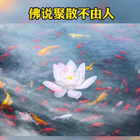 ��˵����ɢ�����ˣ���ʧ��ע����������ʱ�����У�������ʱĪǿ��