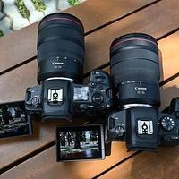 ��ҵ�������������ͷ���ܽ��������г�