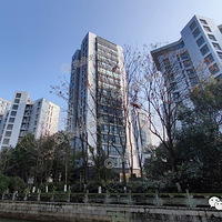 �����ڣ���С���������������棬��������ȴû�˽�����