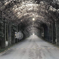 �Ҹ�˵��������Ű�飬�Ϻ��ݶ�δ��֪����