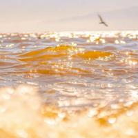 2022���һ�ݸж���һ��������������д�ġ�������