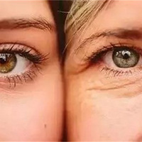 ������ϸ����������ʲô����ϸ���ĵĹ�Ч������~