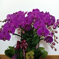 �����ڼ䣬������ꡣ