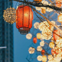 ����Ұ����