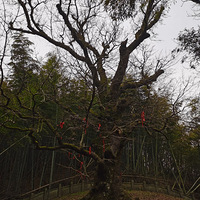 ����ɽ֮��