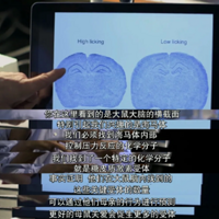 BBC�ⲿ��¼Ƭ�������Ը�����࣬���ǶԺ��ӵ��ж϶�����