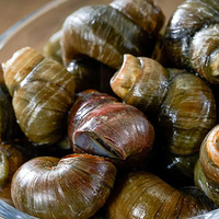 ��ƨ���ж����й��˶�����10����ʳ�����ܳԵ�ֻ����һ��