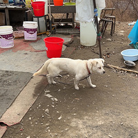 ����Ĺ���