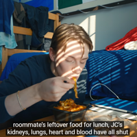 19��������в������ж���˫��˫�Ƚ�֫��������Ϊ�������ʣ��