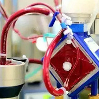 �����ֽ�����28��Ա���Ӱ�������ոչ�˾�����������������ǰ