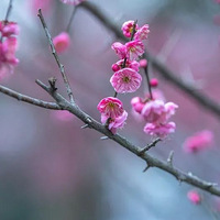 ���¼����嵽20�棿����ĩ������һ������ĺ�����Ҫ�����ˣ���