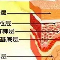 ���Ͻ��ʲ����������޻���